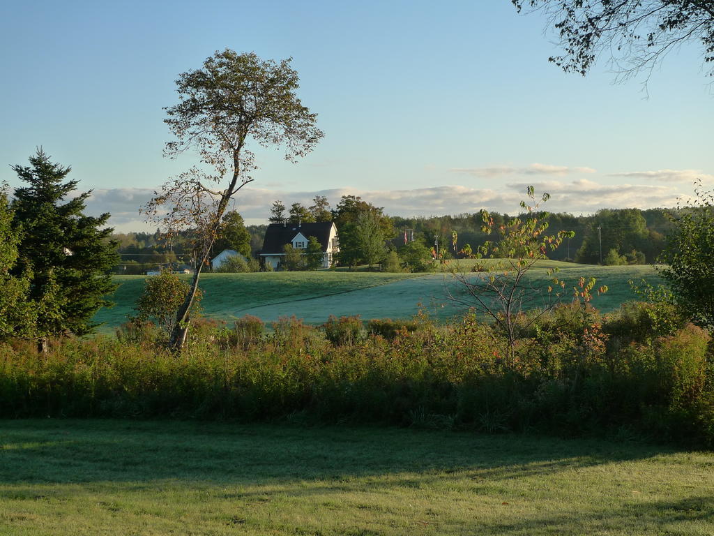 Forest Haven Inn Tatamagouche Exterior photo